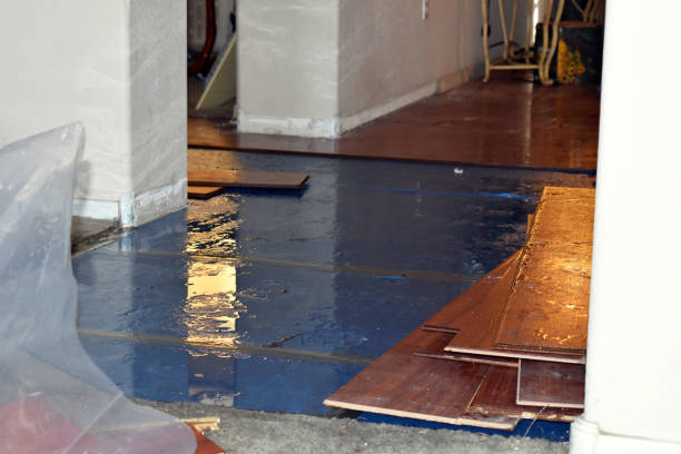 Professional Emergency Water Damage Restoration technician working in Ansonia, CT