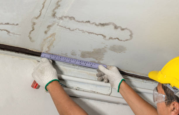 Reliable Emergency Water Damage Restoration contractor in Ansonia, CT by Water Damage Irwin
